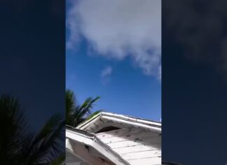 Luli Babe Holiday Faves 🎄❤️